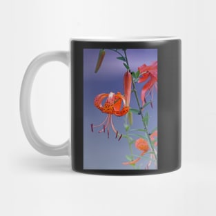 Lily with Blue Mug